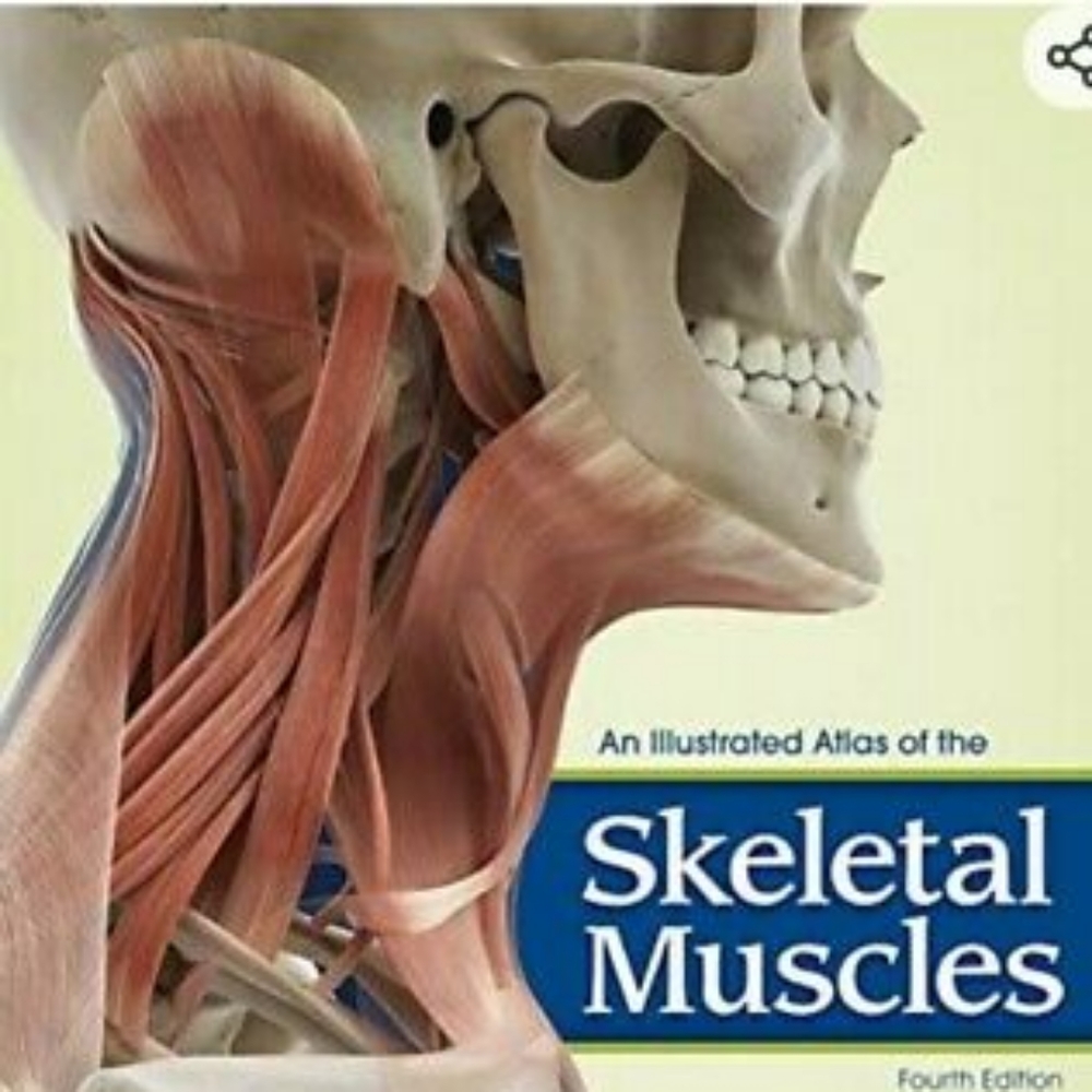 An Ilustrated Atlas Of The Skeletal Muscles